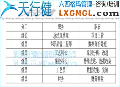 項(xiàng)目團(tuán)隊(duì)成員分工