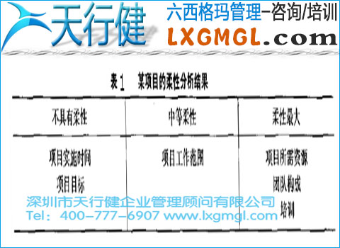 某項(xiàng)目的柔性分析結(jié)果 六西格瑪項(xiàng)目監(jiān)控措施和方法