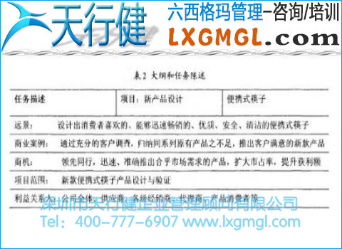 大綱和任務(wù)陳述