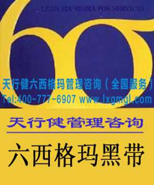 六西格瑪黑帶培訓(xùn)的重要性（詳細(xì)版）