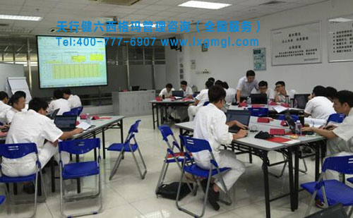 六西格瑪測(cè)量系統(tǒng)MSA培訓(xùn)