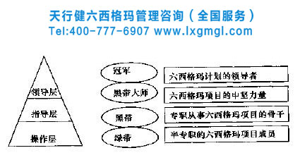 六西格瑪管理團(tuán)隊(duì)組織模式創(chuàng)新