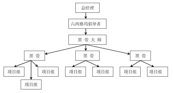 六西格瑪項(xiàng)目執(zhí)行團(tuán)隊的人員結(jié)構(gòu)剖析    