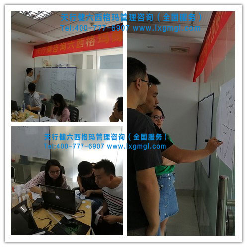 6西格瑪綠帶培訓(xùn)