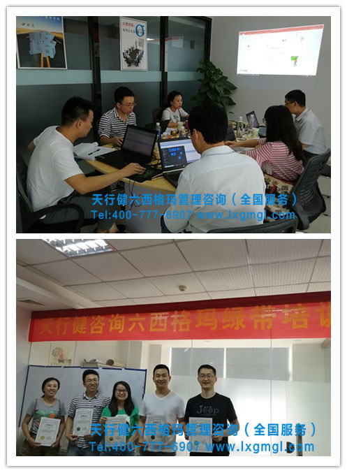 6西格瑪綠帶培訓(xùn)課程