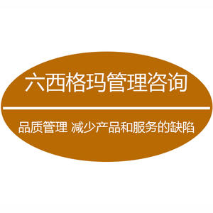 六西格瑪人員需要具備哪些技能？