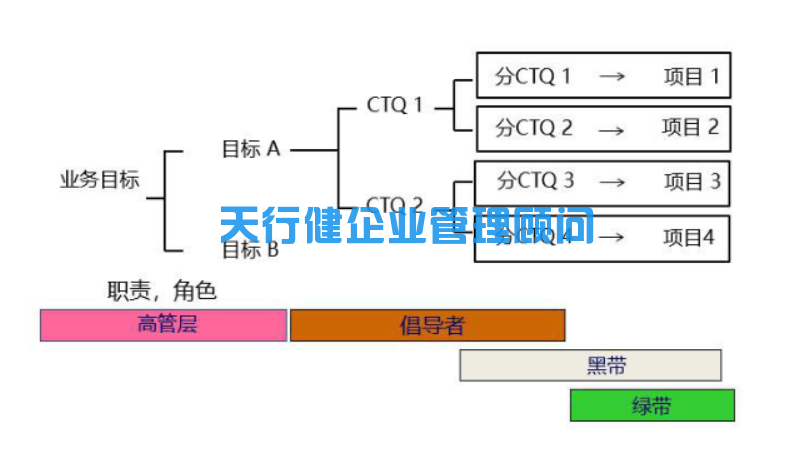 六西格瑪管理：六西格瑪項目的選擇