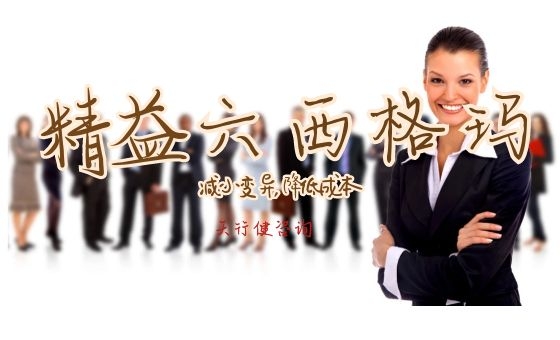 大數(shù)據(jù)環(huán)境下精益六西格瑪實(shí)施的關(guān)鍵