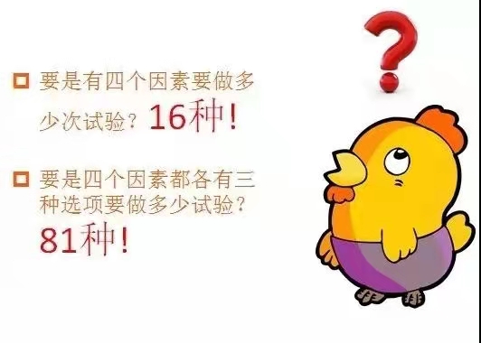 基于DOE試驗(yàn)設(shè)計(jì)科學(xué)養(yǎng)雞