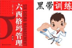 3月份六西格瑪黑帶培訓(xùn)課程