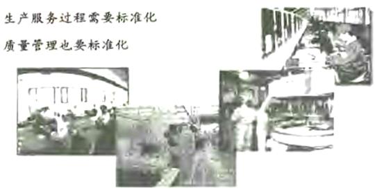 六西格瑪標準化操作