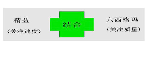 精益六西格瑪物流系統(tǒng)的建立條件