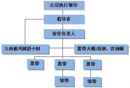 六西格瑪?shù)慕巧吐氊?zé)介紹