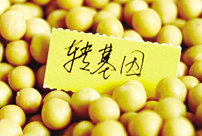 有什么方法能辨別轉(zhuǎn)基因食品 有什么方法能辨別轉(zhuǎn)基因食品