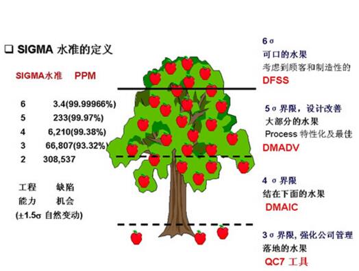 6 sigma管理實(shí)施基本的持續(xù)改進(jìn)戰(zhàn)略